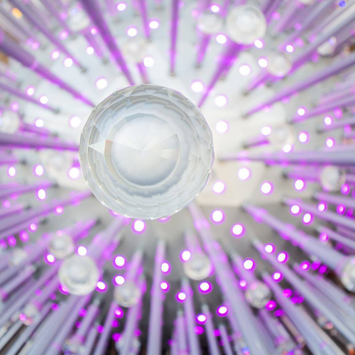 Swarovski